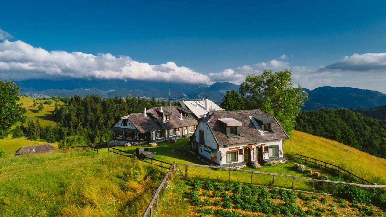Amfiteatrul Transilvania Villa Моечу де Жос Екстериор снимка